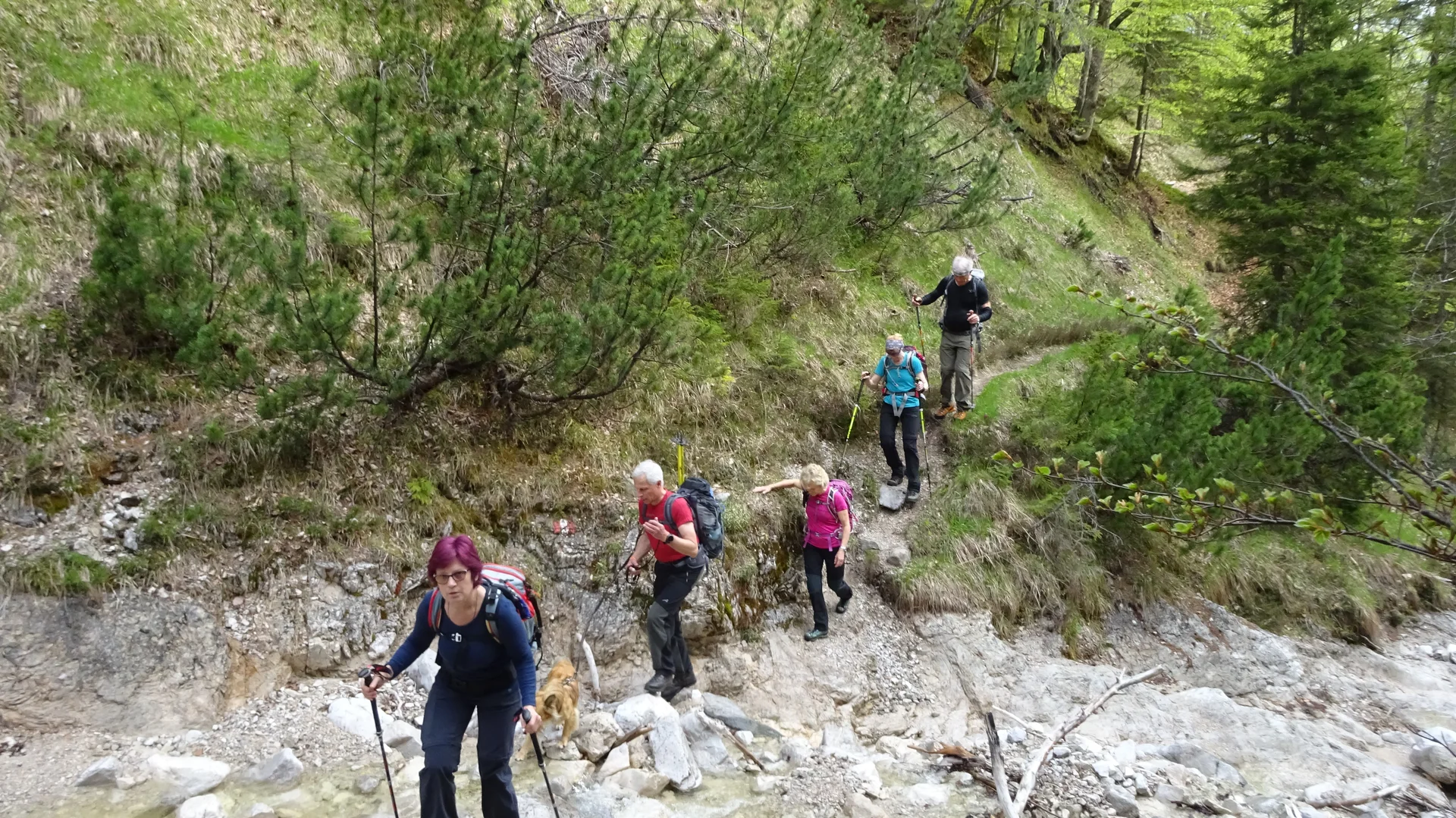 © DAV Peißenberg Stefan Dittrich