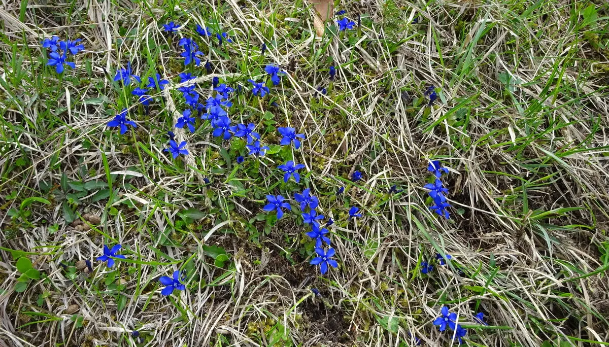 © DAV Peißenberg Stefan Dittrich