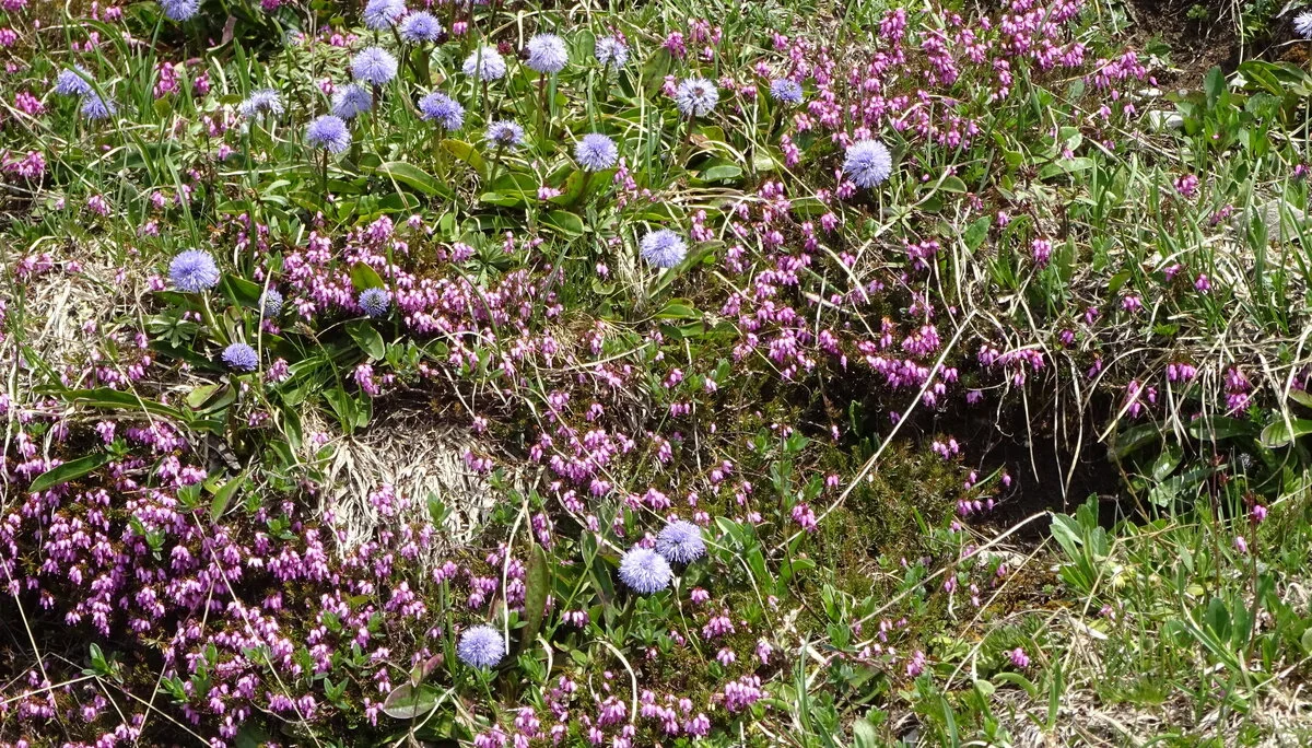 © DAV Peißenberg - Stefan Dittrich