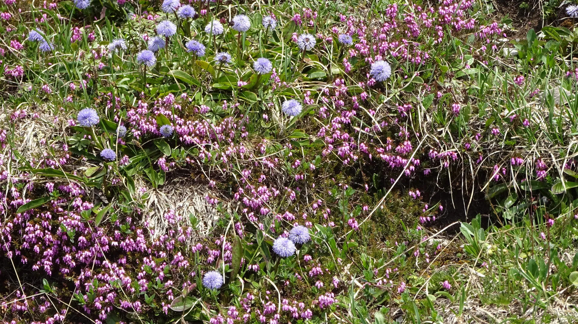 © DAV Peißenberg - Stefan Dittrich