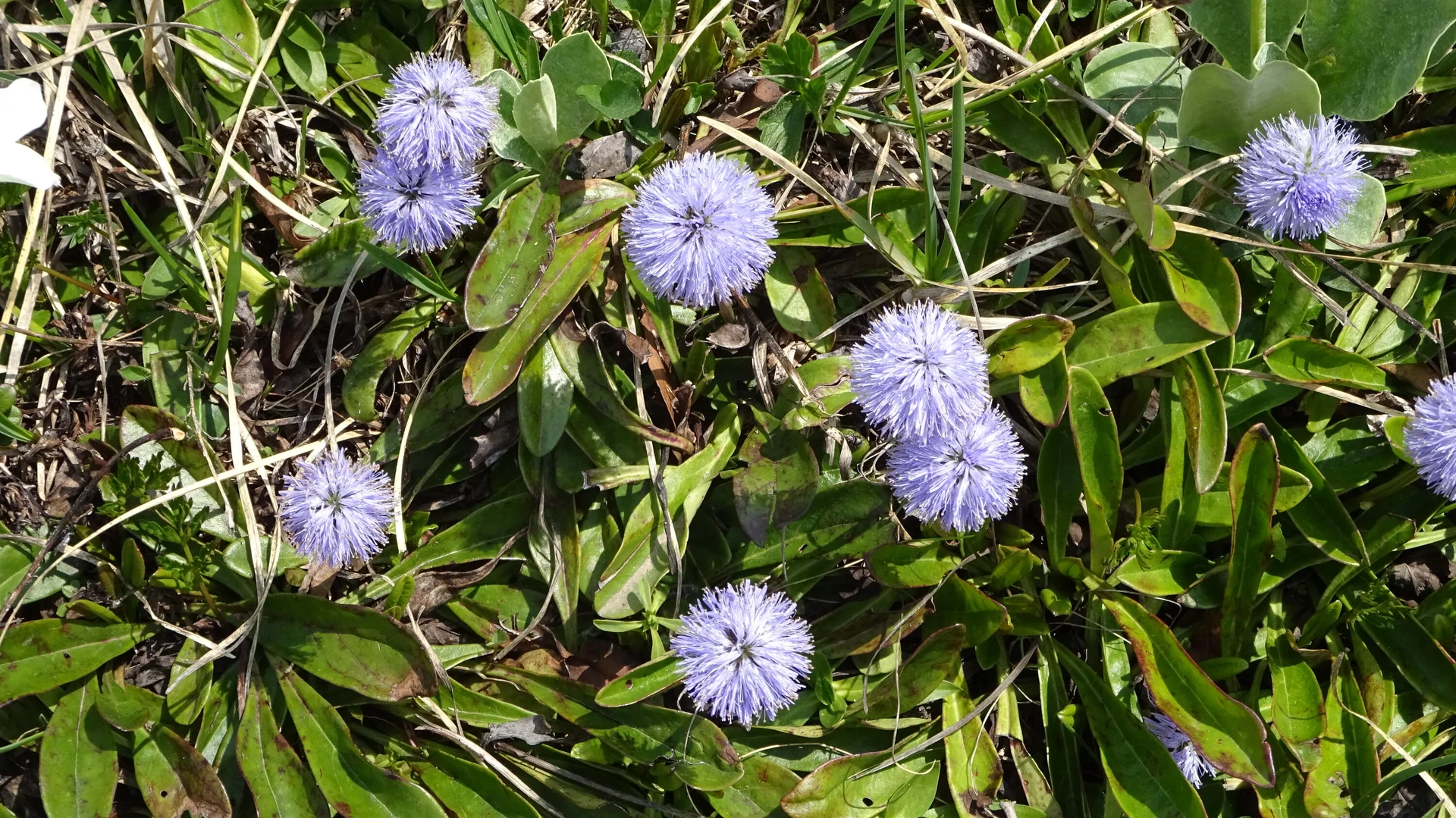 © DAV Peißenberg - Stefan Dittrich