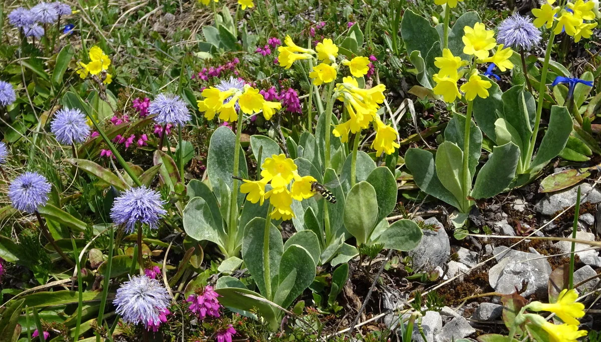 © DAV Peißenberg - Stefan Dittrich