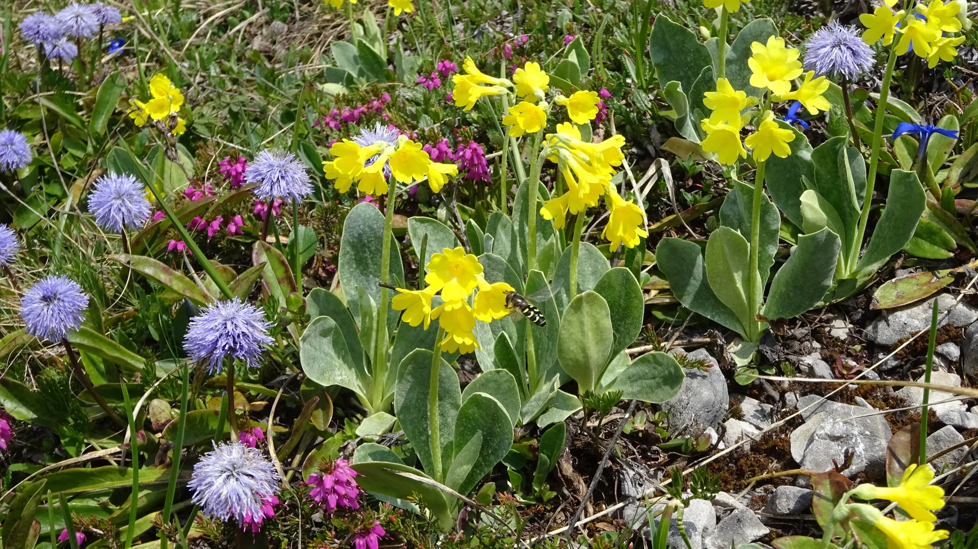 © DAV Peißenberg - Stefan Dittrich