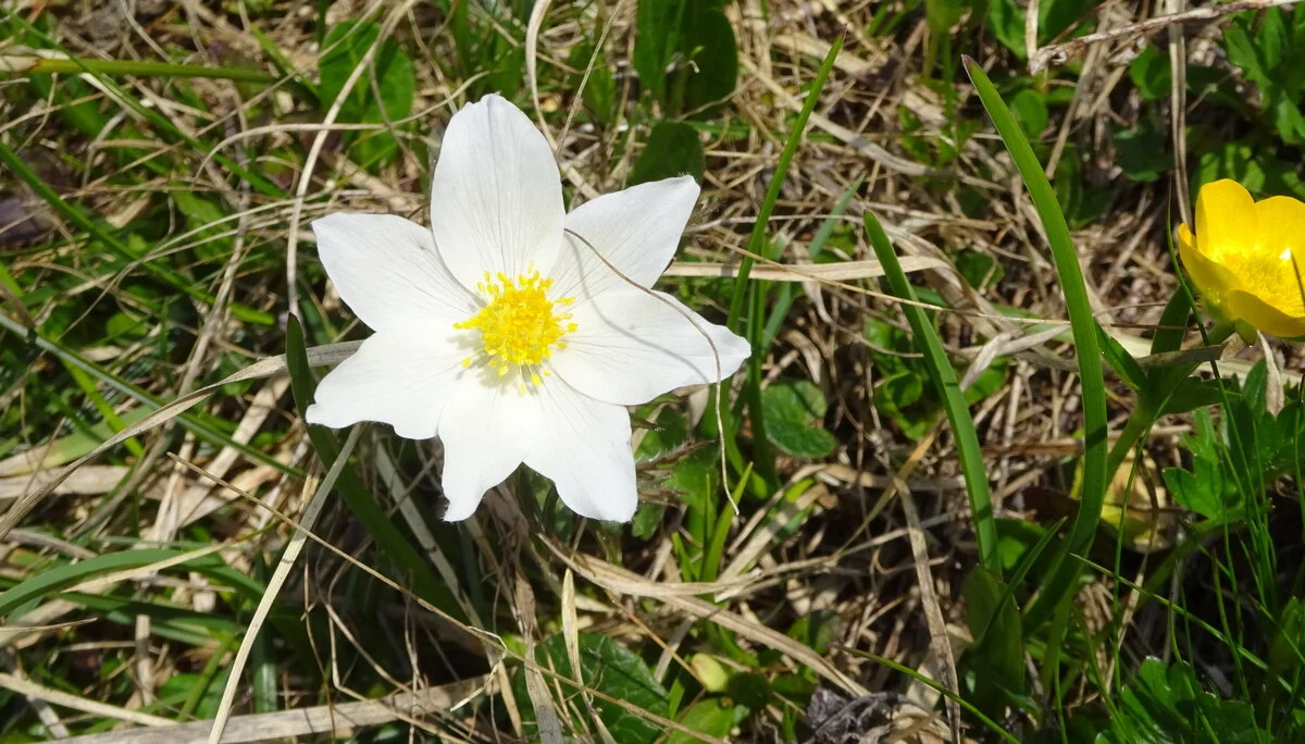 © DAV Peißenberg - Stefan Dittrich