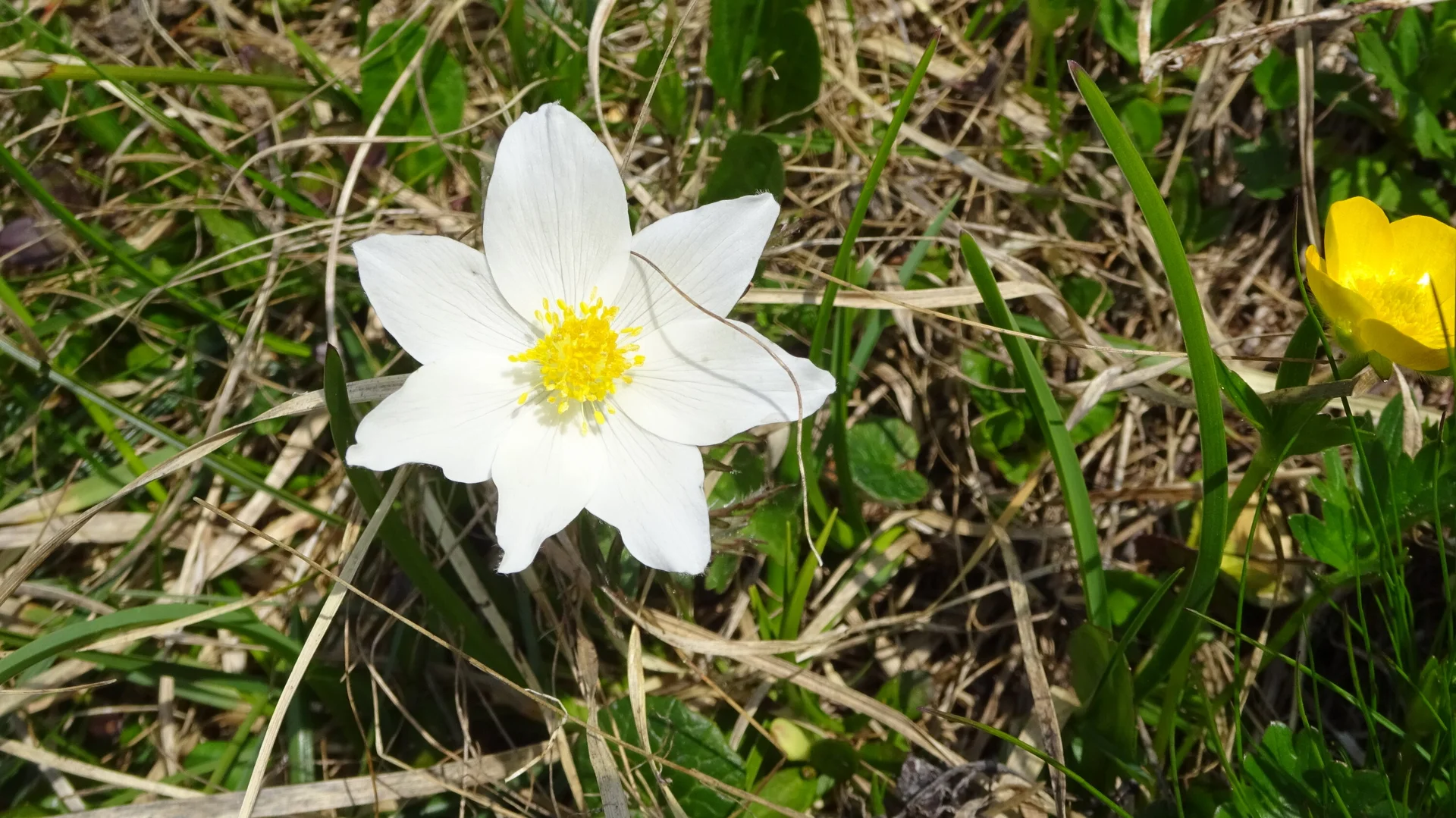 © DAV Peißenberg - Stefan Dittrich