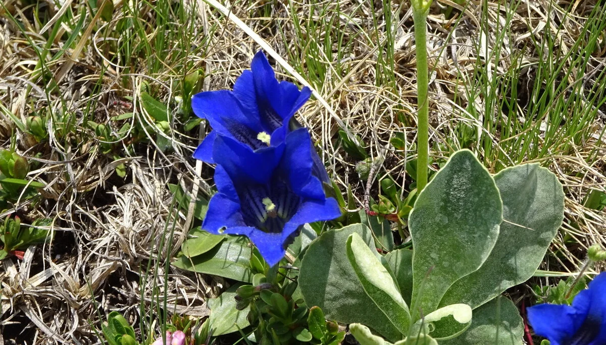 © DAV Peißenberg - Stefan Dittrich