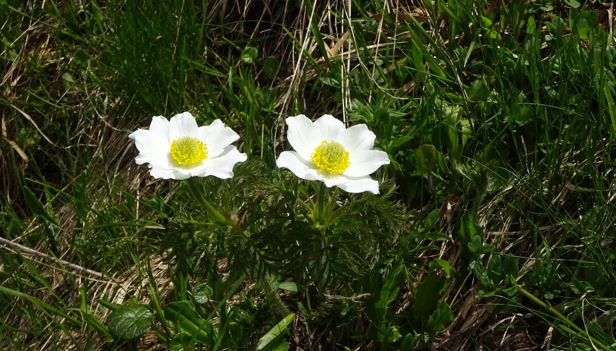 © DAV Peißenberg - Stefan Dittrich