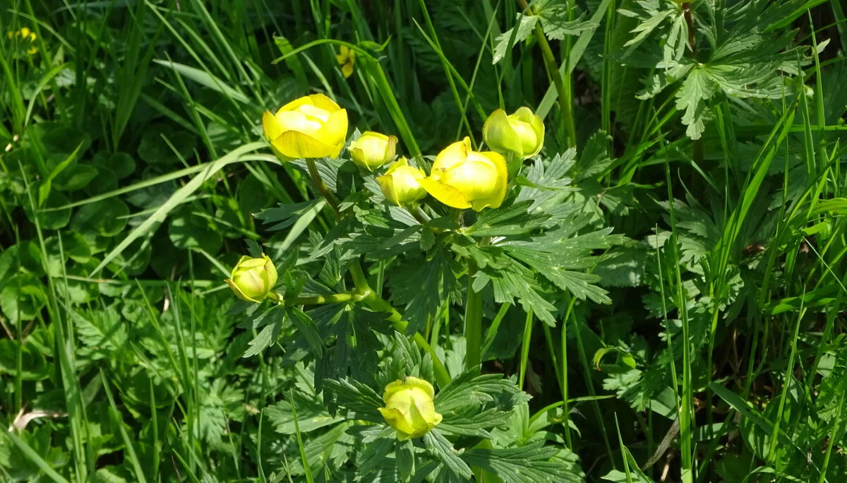 © DAV Peißenberg - Stefan Dittrich