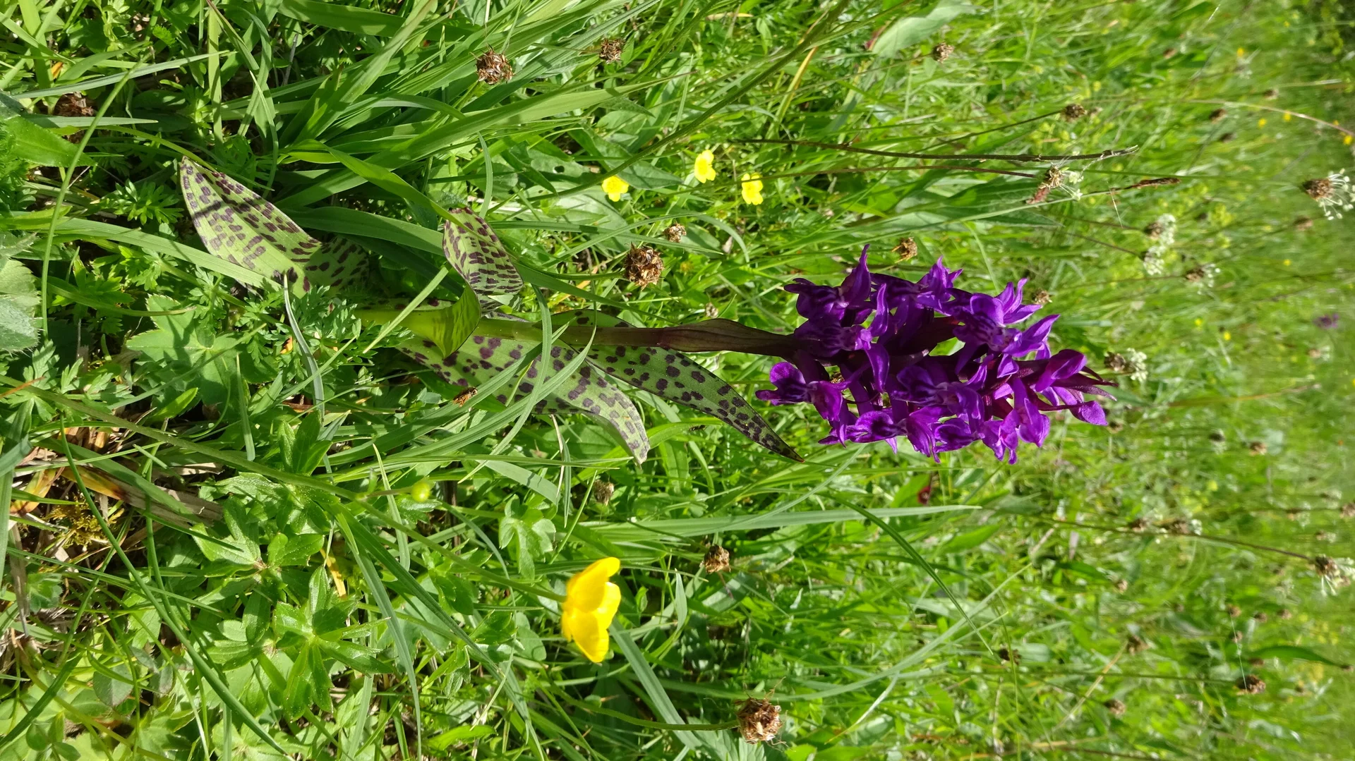 © DAV Peißenberg - Stefan Dittrich