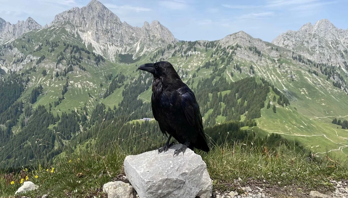 © DAV-Peißenberg