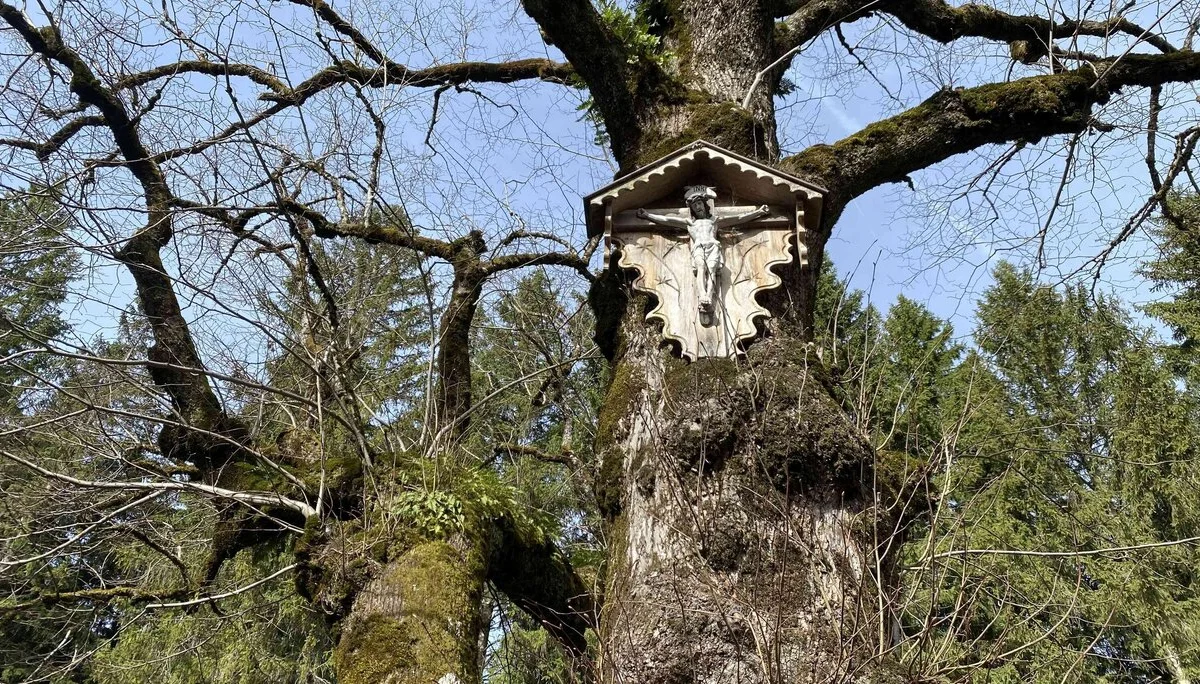 © DAV Peißenberg - Franziska Rosenbaum