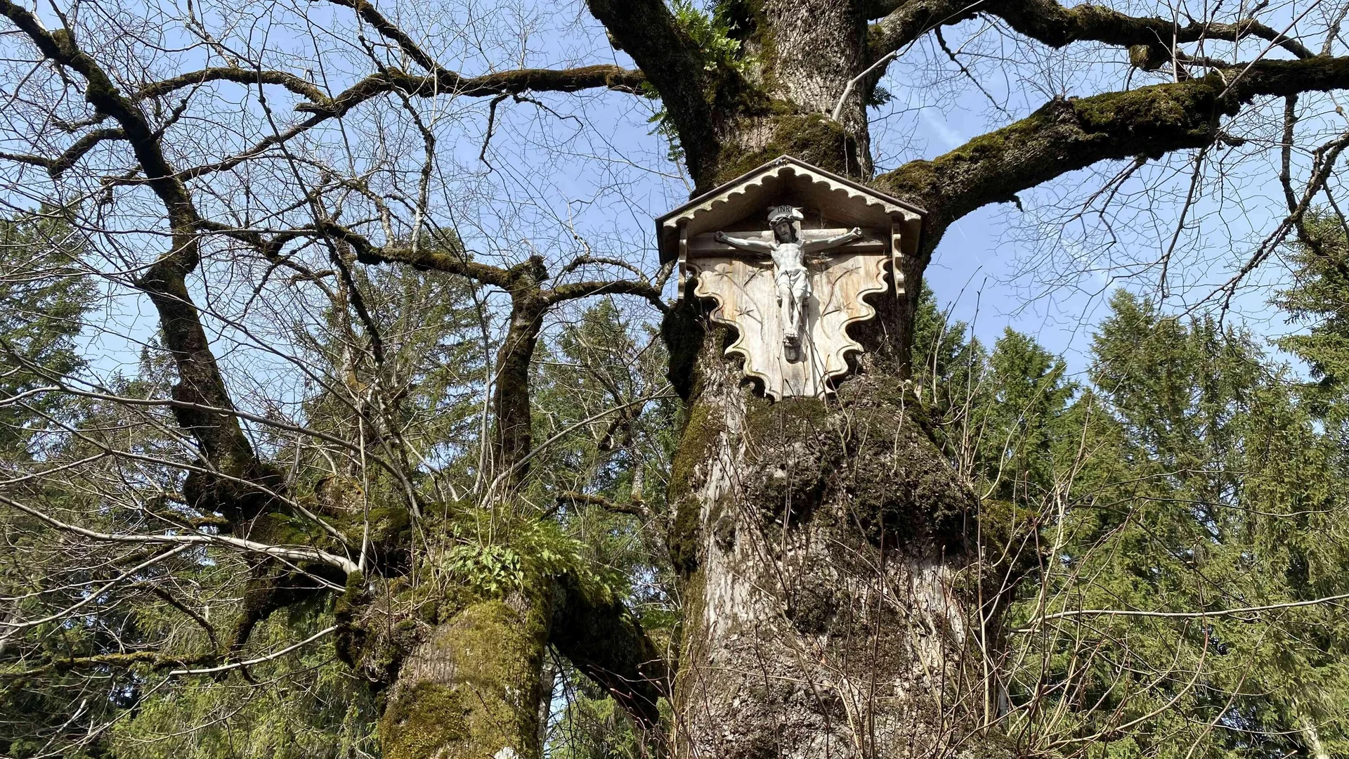 © DAV Peißenberg - Franziska Rosenbaum