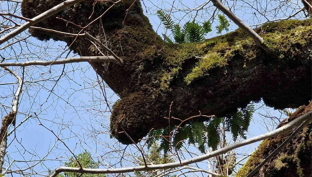 © DAV Peißenberg - Franziska Rosenbaum