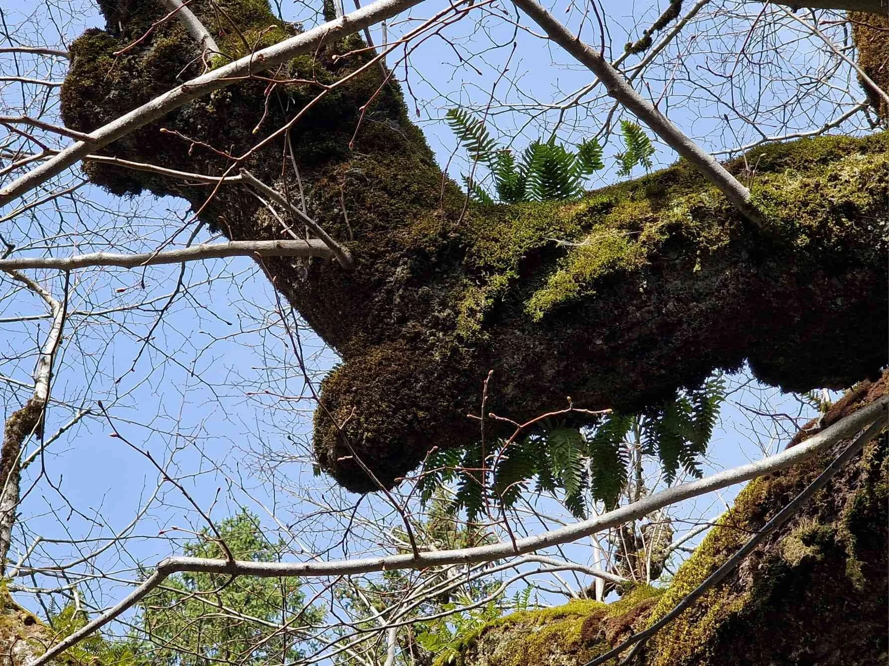 © DAV Peißenberg - Franziska Rosenbaum