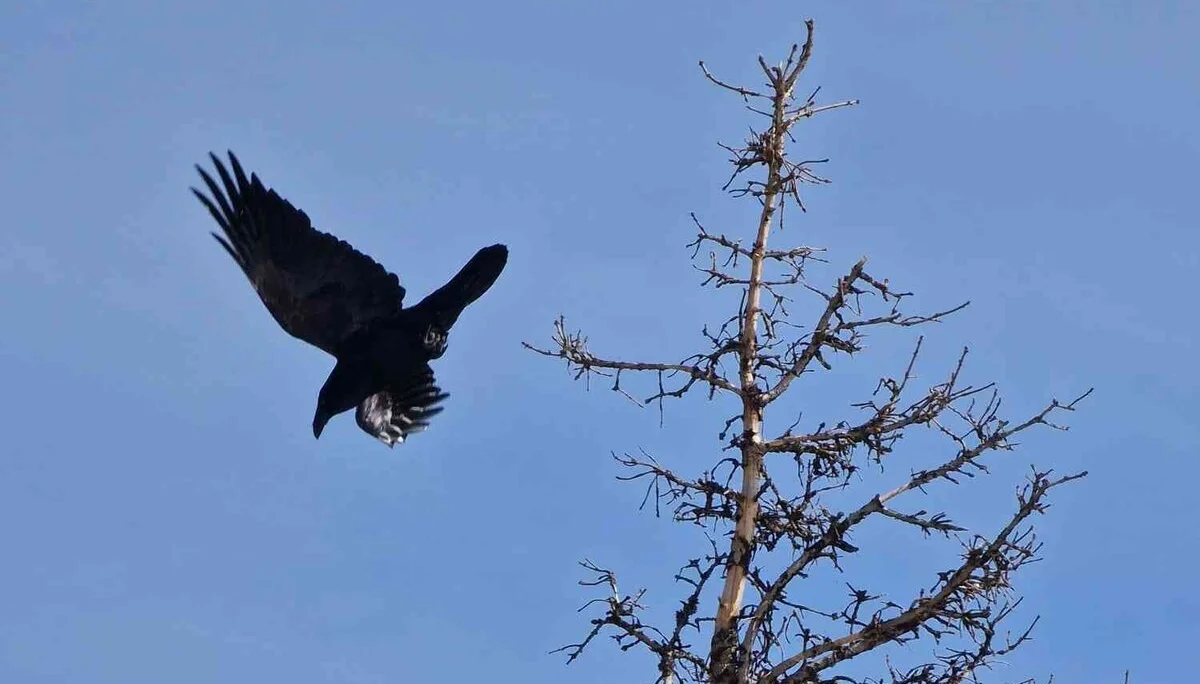 © DAV Peißenberg - Franziska Rosenbaum