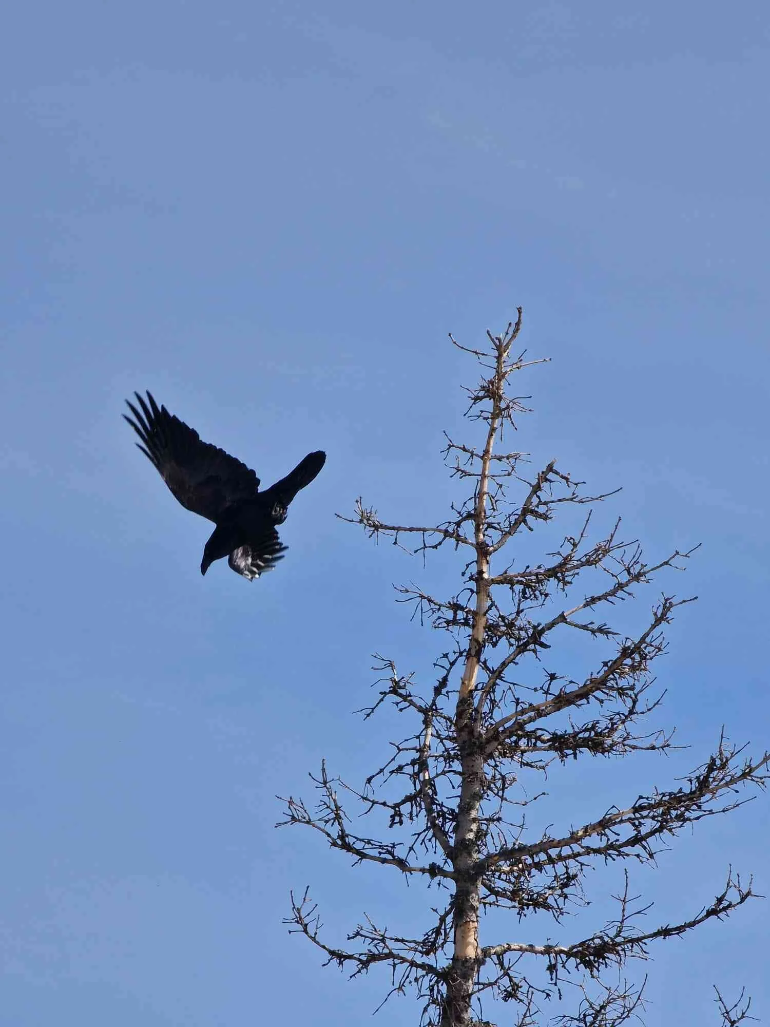 © DAV Peißenberg - Franziska Rosenbaum