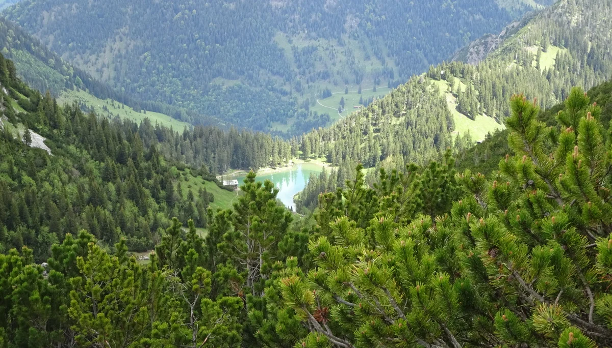 © DAV Peißenberg - Stefan Dittrich