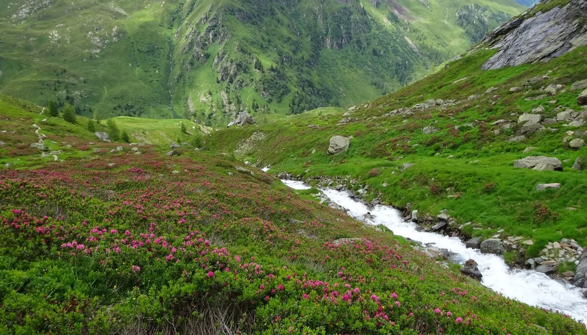 © DAV Peißenberg - Stefan Dittrich