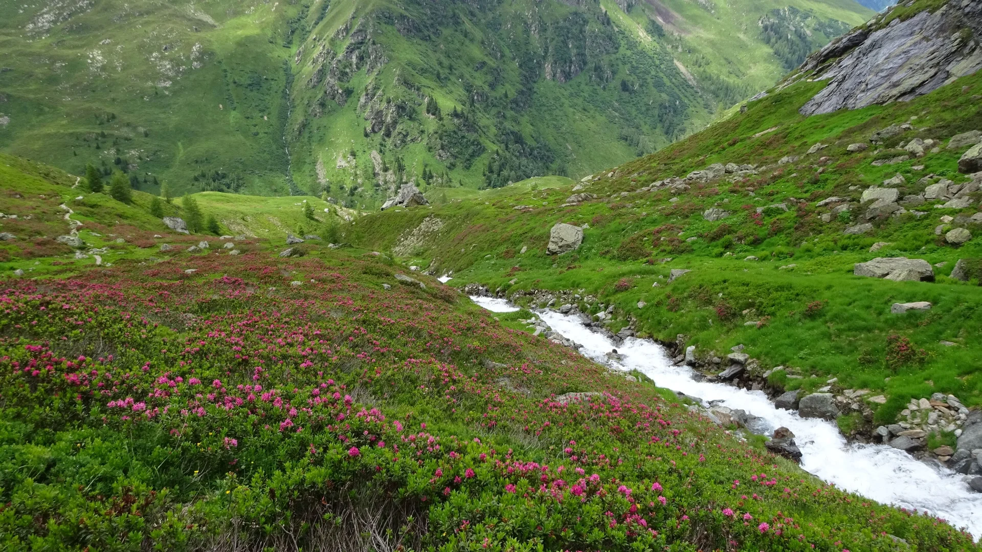 © DAV Peißenberg - Stefan Dittrich