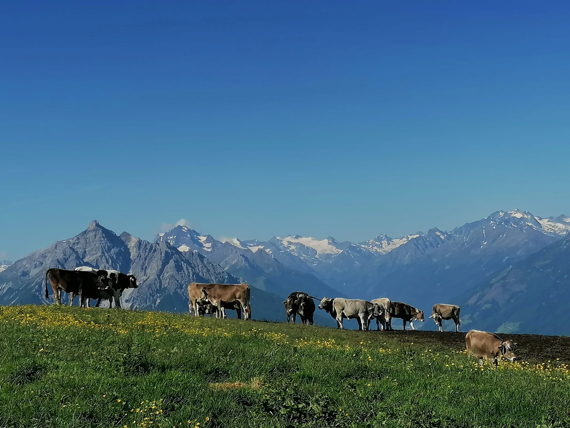 © DAV Peißenberg