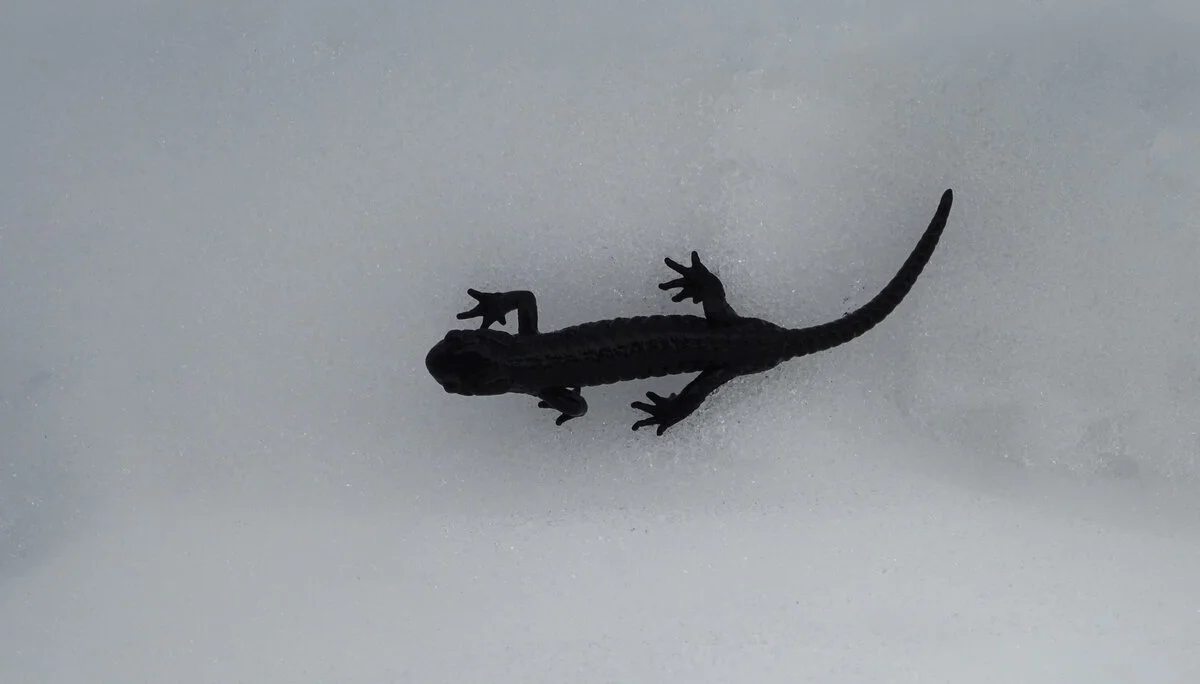 © DAV Peißenberg - Stefan Dittrich