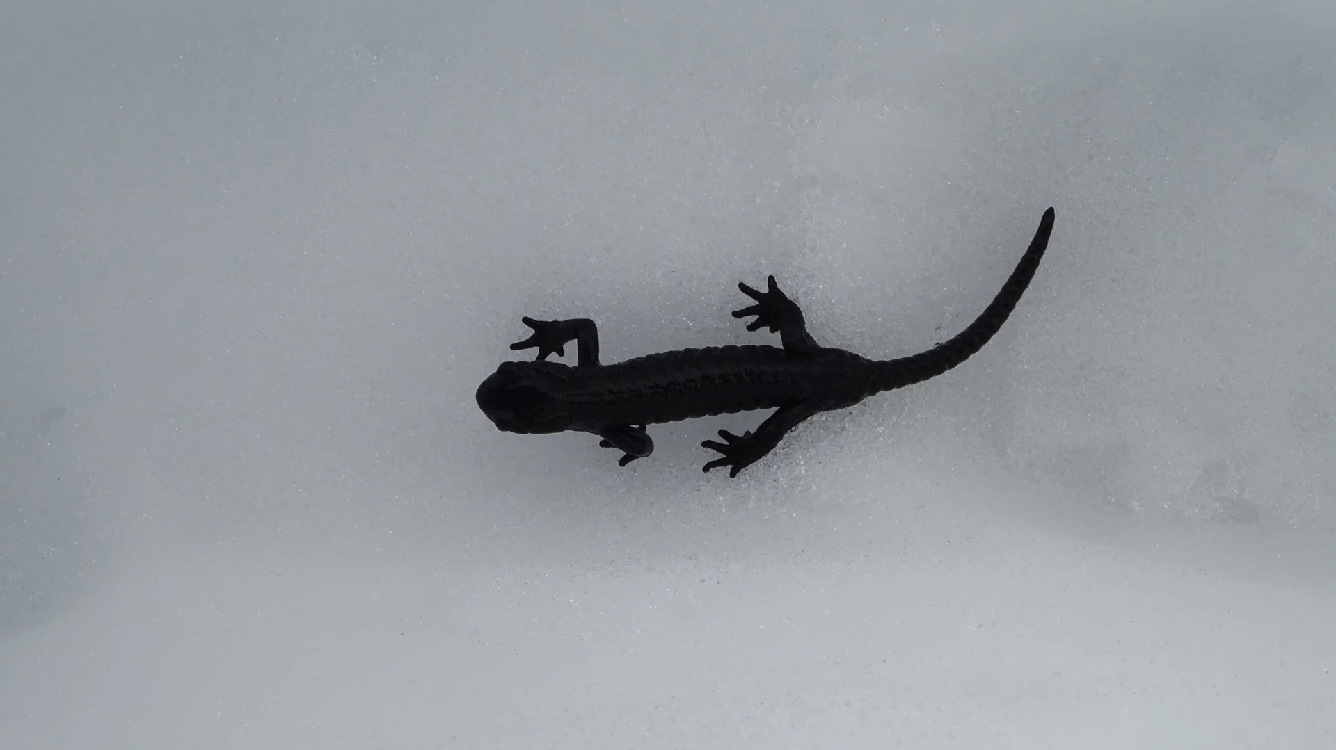 © DAV Peißenberg - Stefan Dittrich