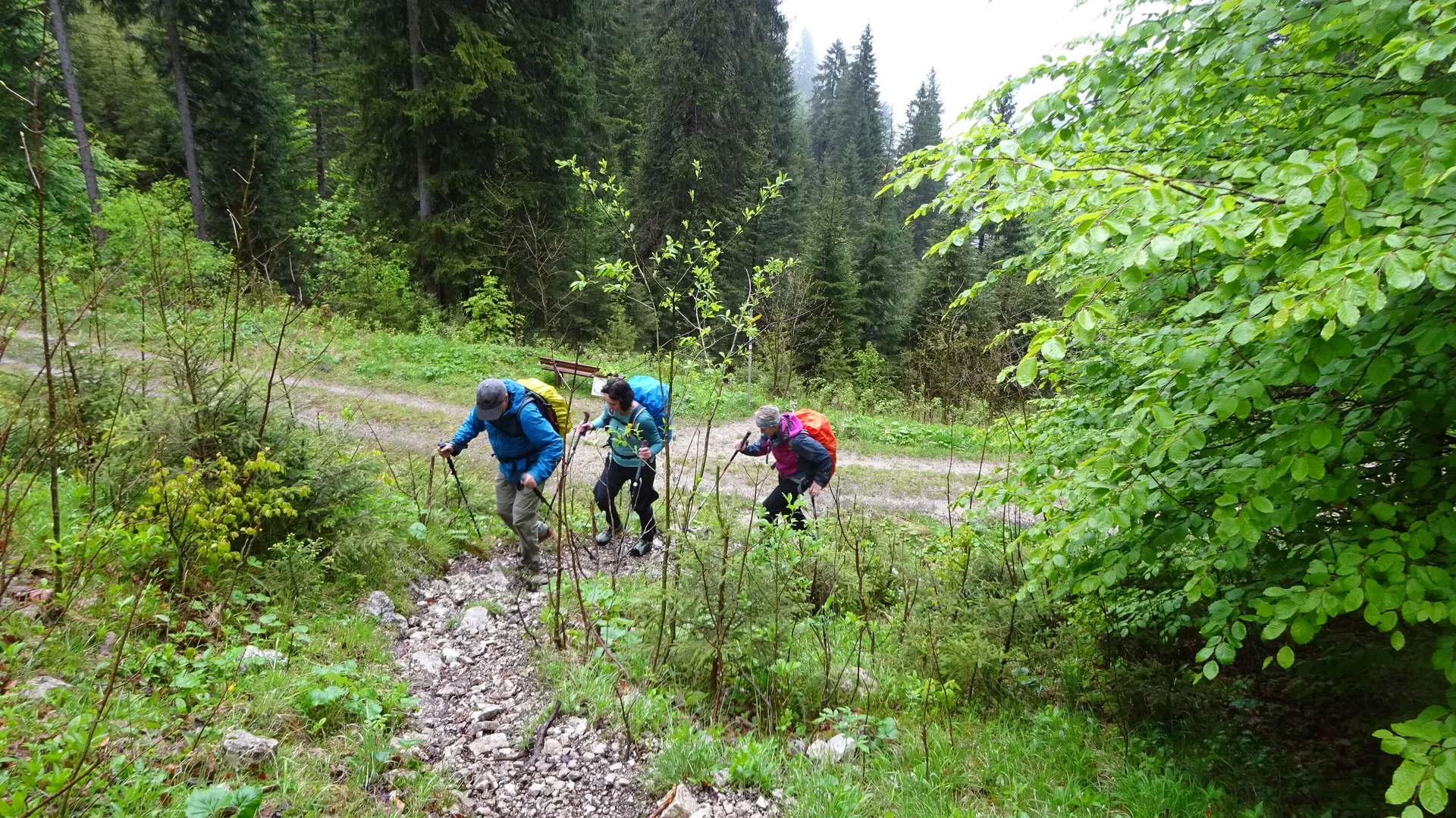 © DAV Peißenberg - Stefan Dittrich