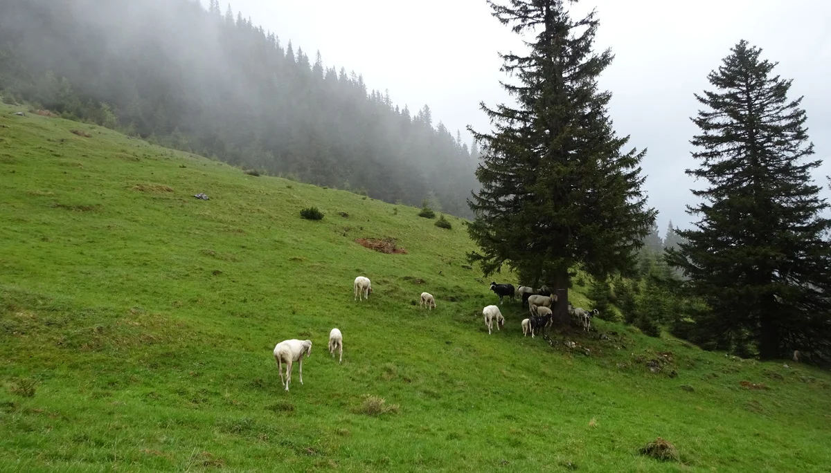 © DAV Peißenberg - Stefan Dittrich