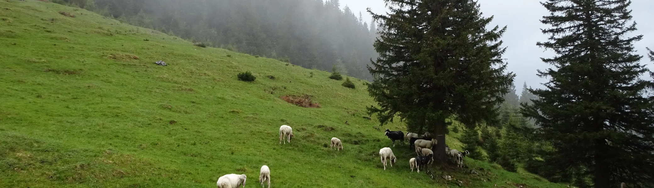 © DAV Peißenberg - Stefan Dittrich