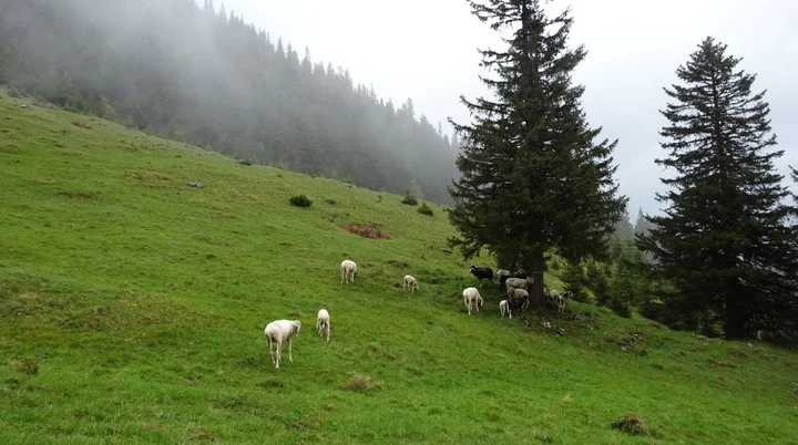 © DAV Peißenberg - Stefan Dittrich