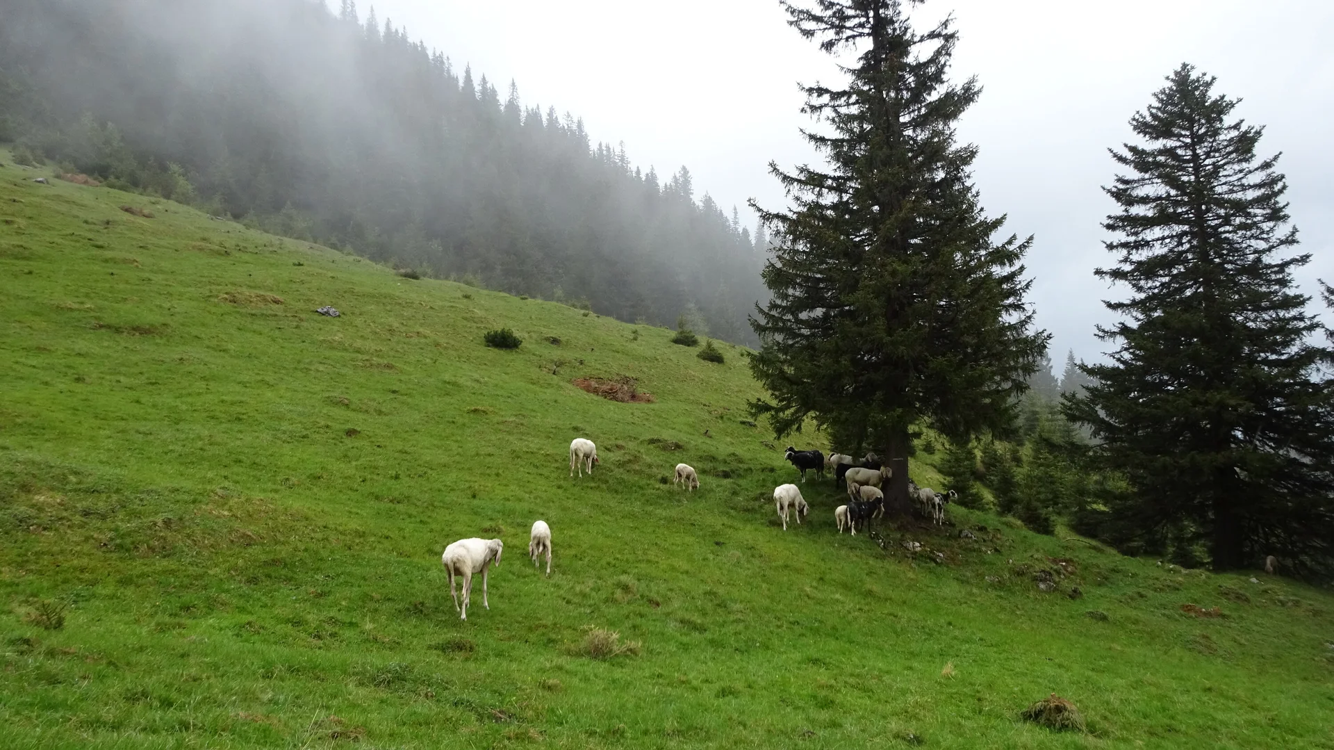 © DAV Peißenberg - Stefan Dittrich