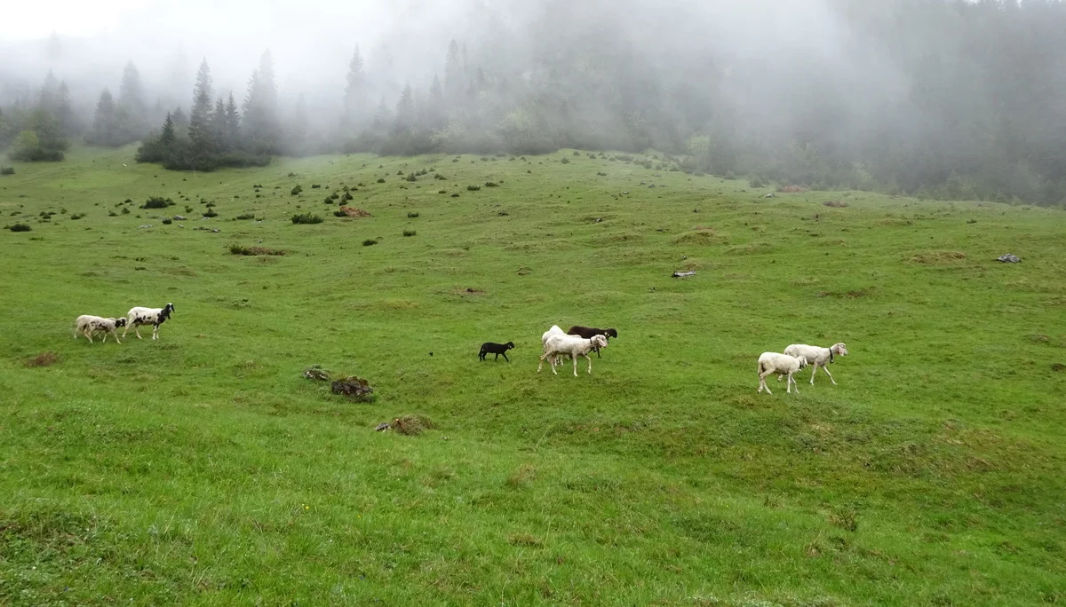 © DAV Peißenberg - Stefan Dittrich