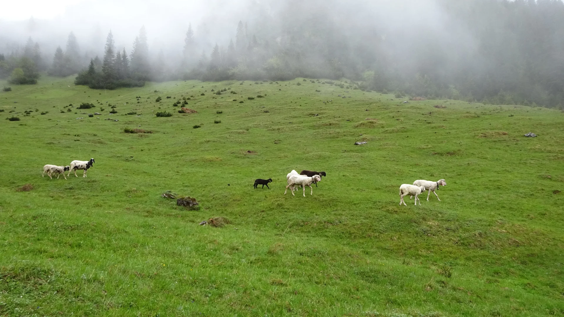 © DAV Peißenberg - Stefan Dittrich