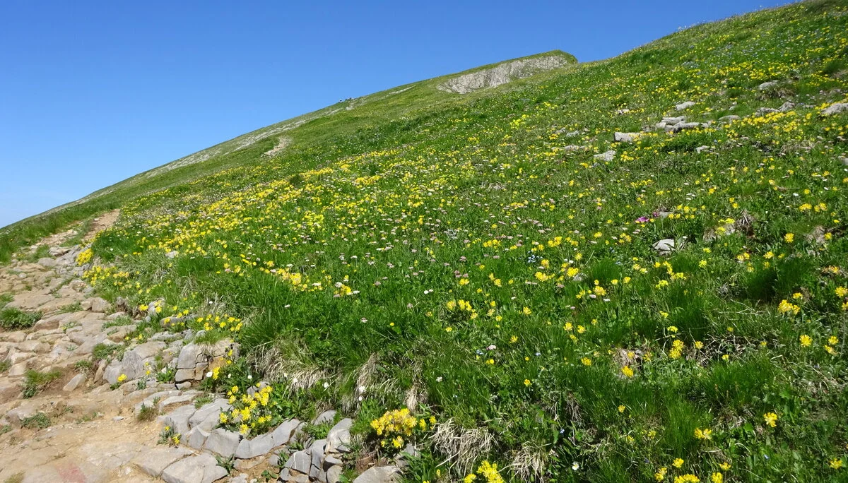 © DAV Peißenberg - Stefan Dittrich