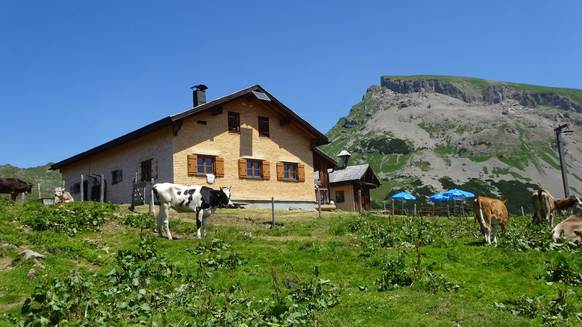 © DAV Peißenberg - Stefan Dittrich