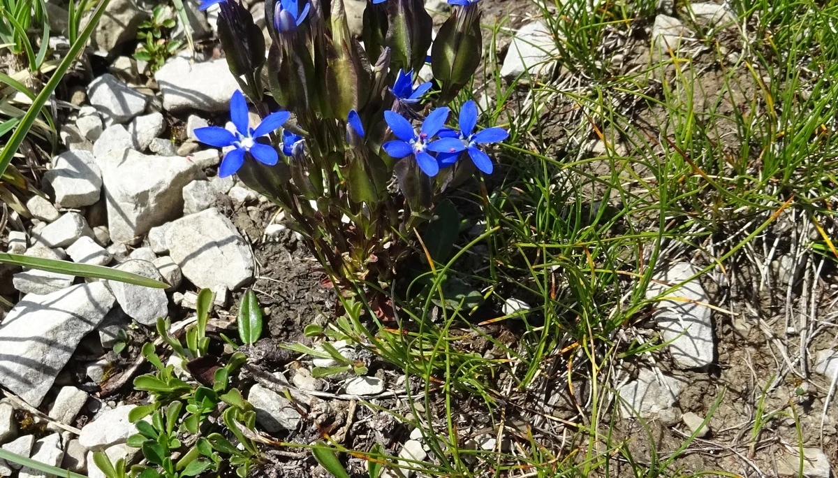 © DAV Peißenberg - Stefan Dittrich