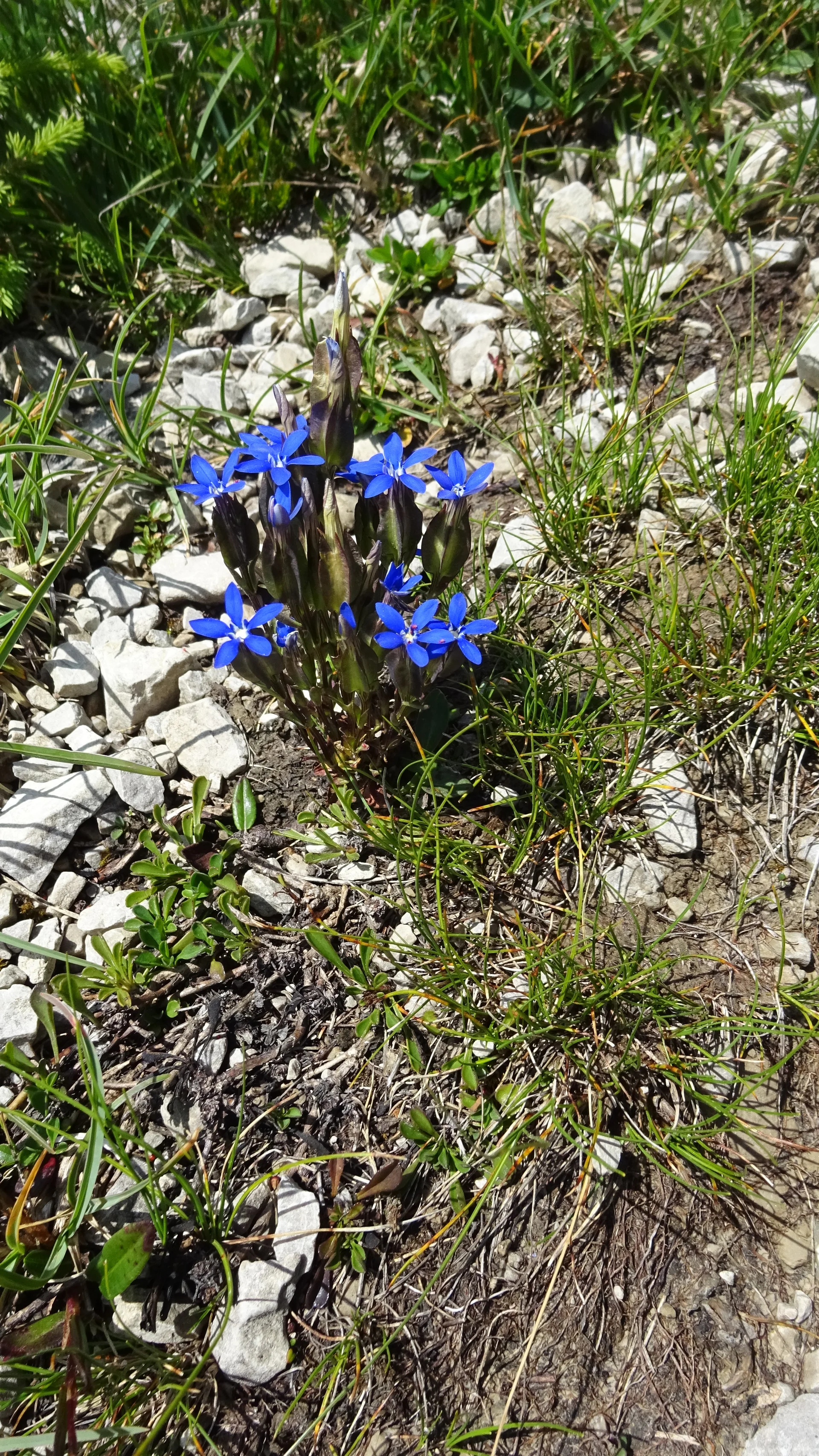 © DAV Peißenberg - Stefan Dittrich