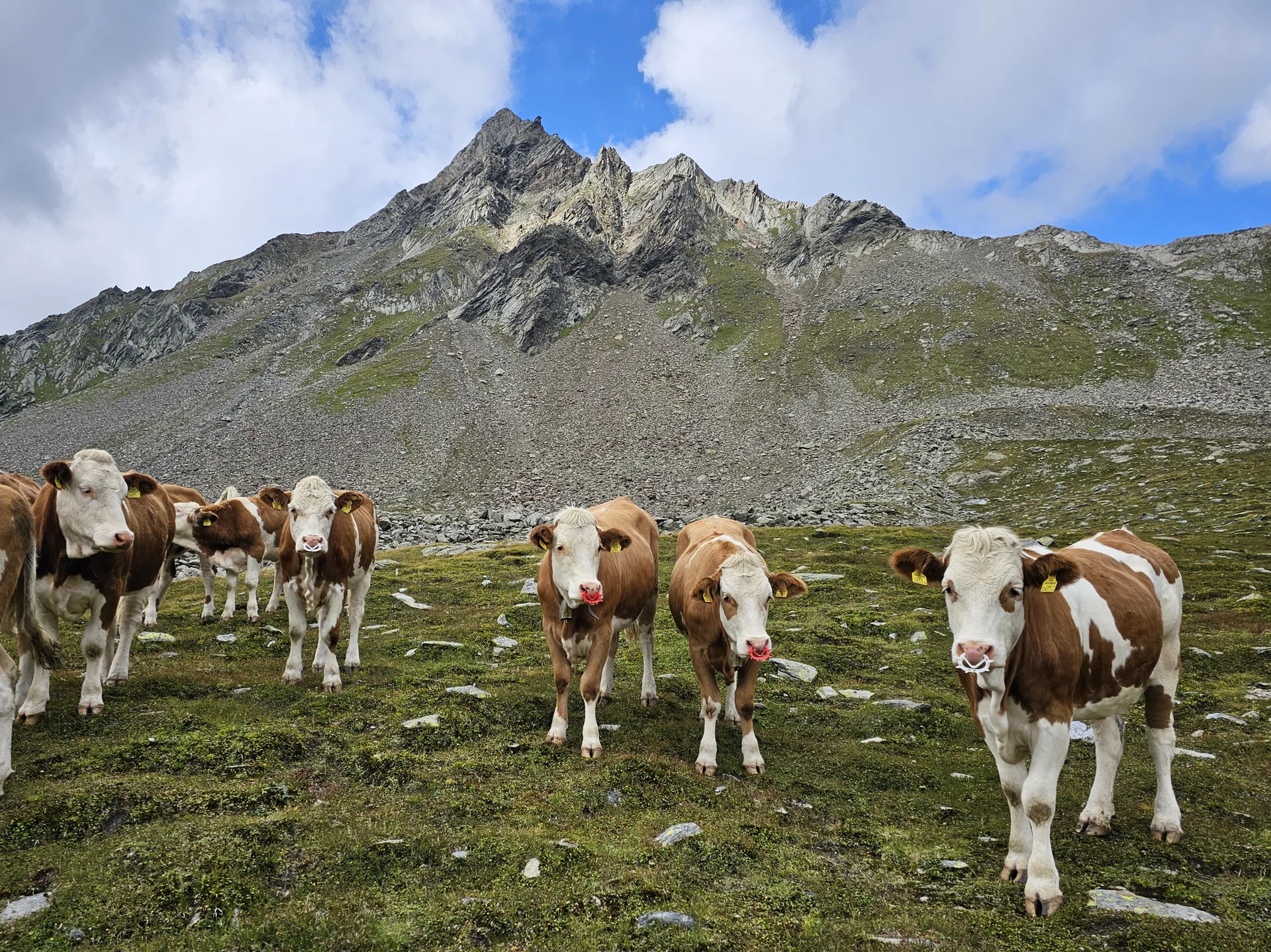 © DAV Peißenberg
