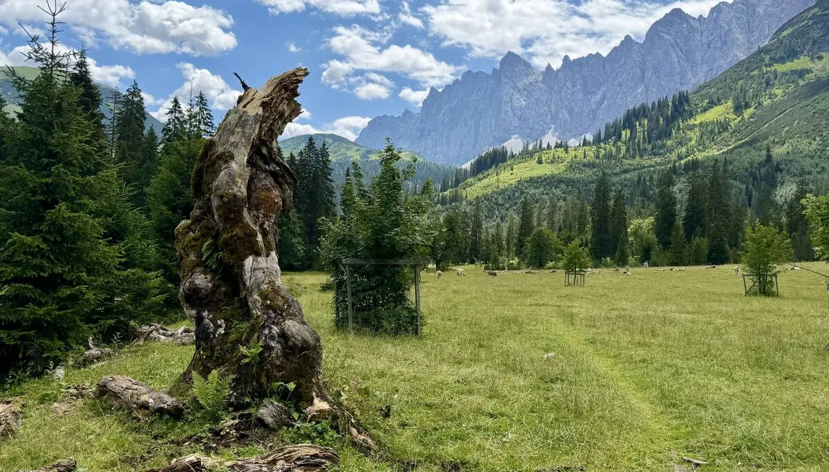 © DAV Peißenberg