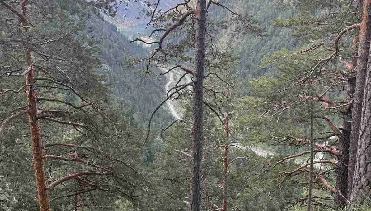 © DAV-Peißenberg