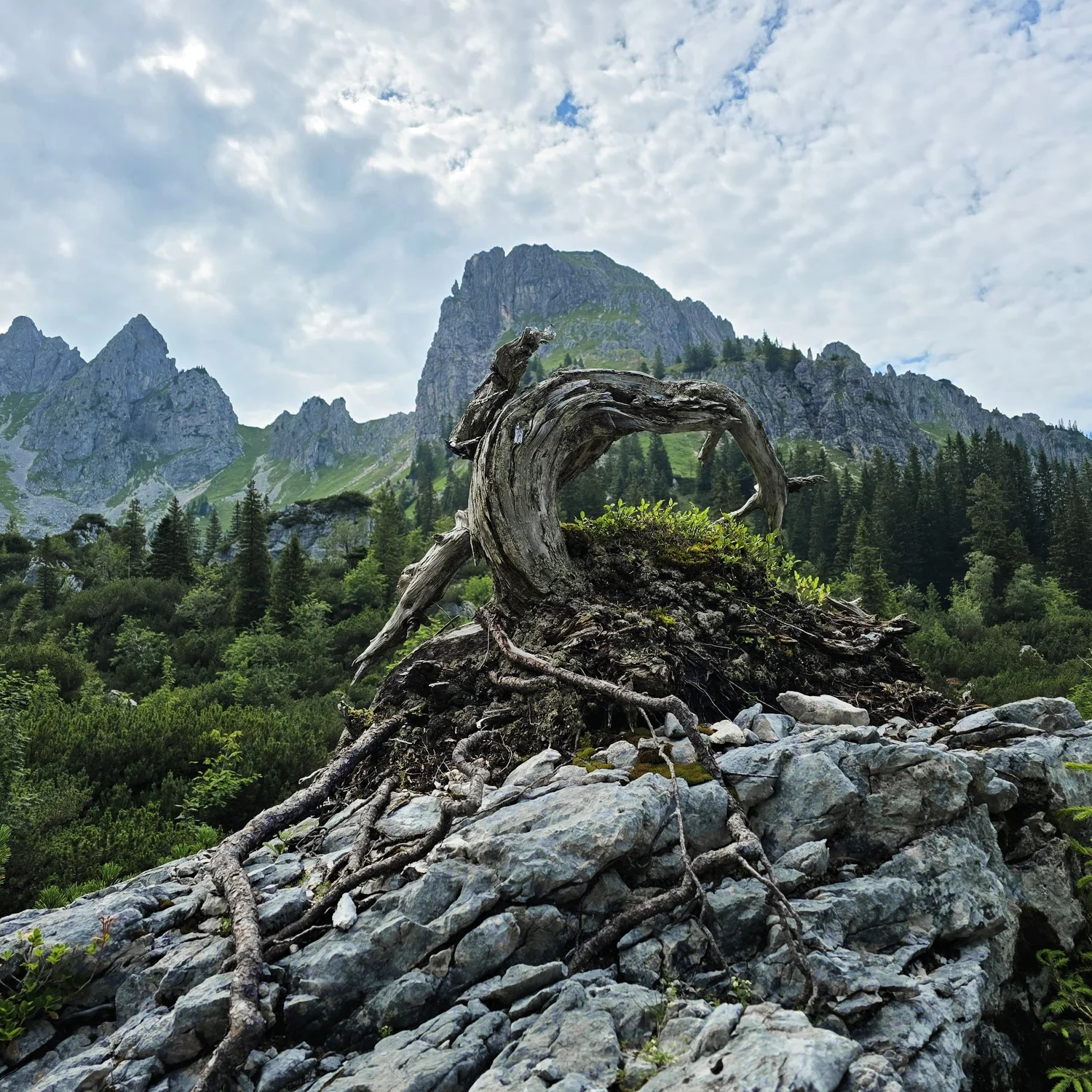 © DAV-Peißenberg
