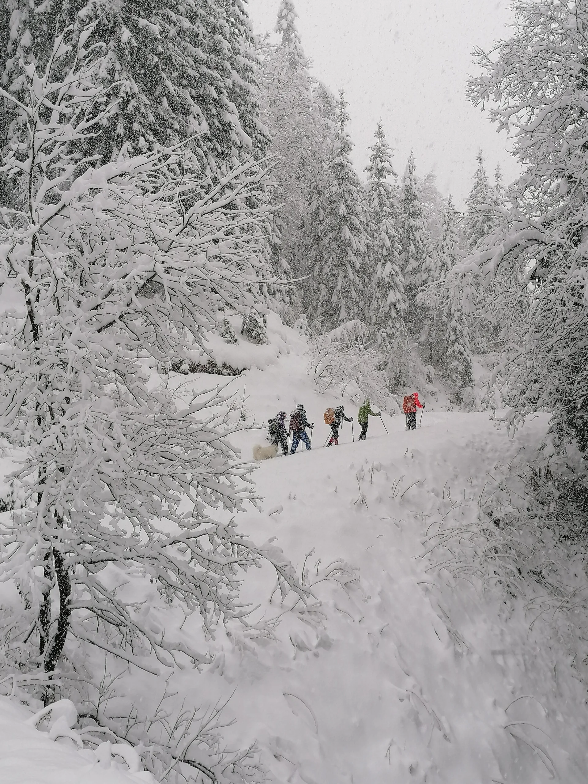 © DAV-Peißenberg Angelika Sulzer