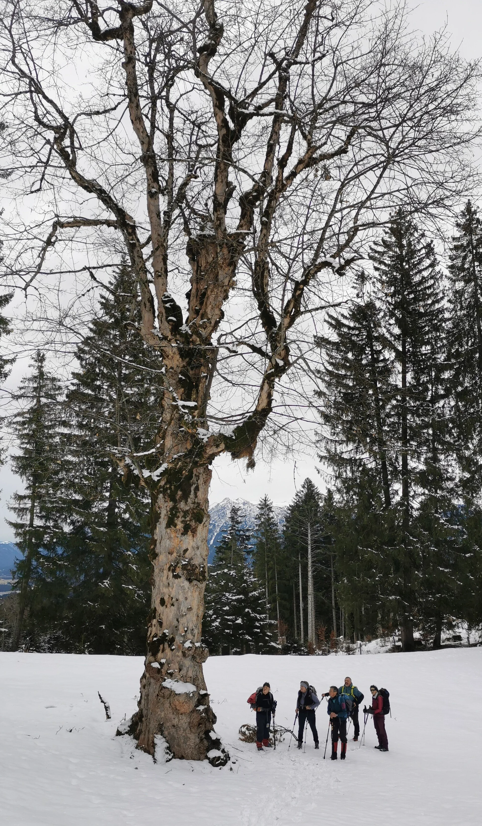 © DAV Peißenberg
