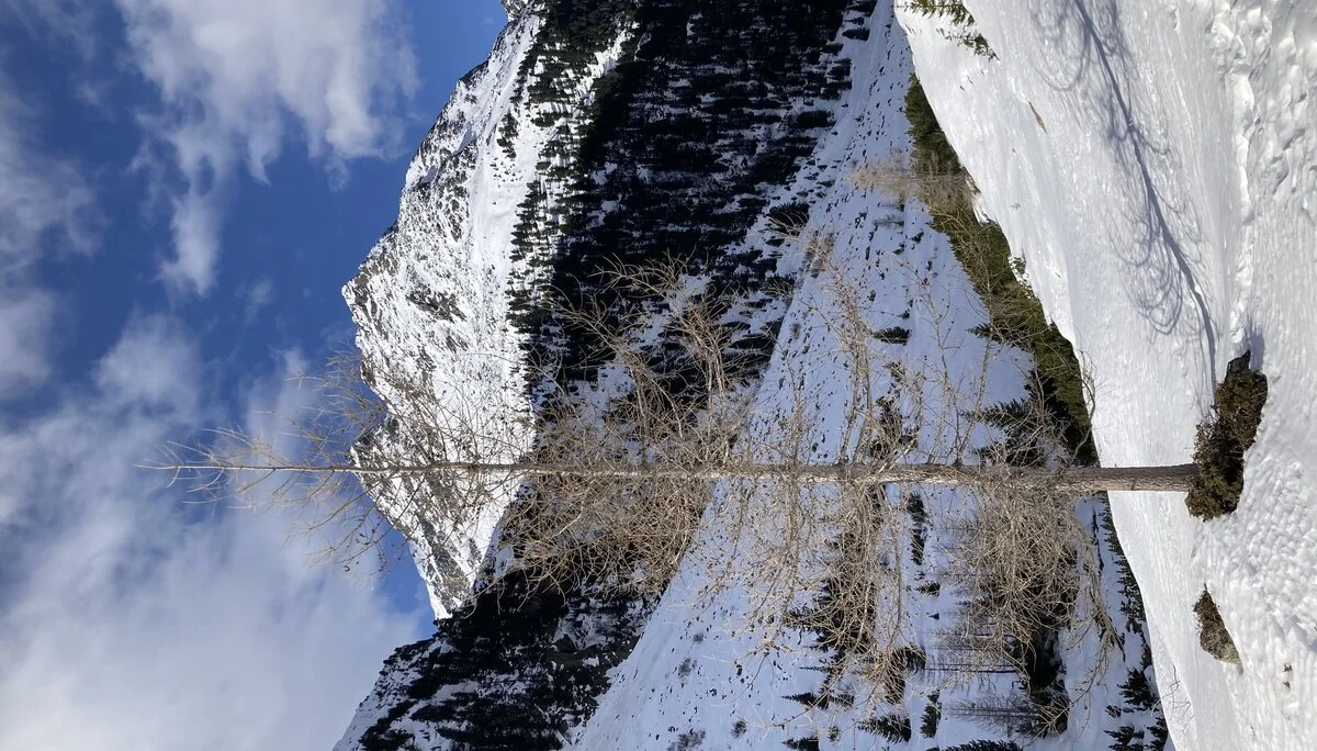 © DAV-Peißenberg