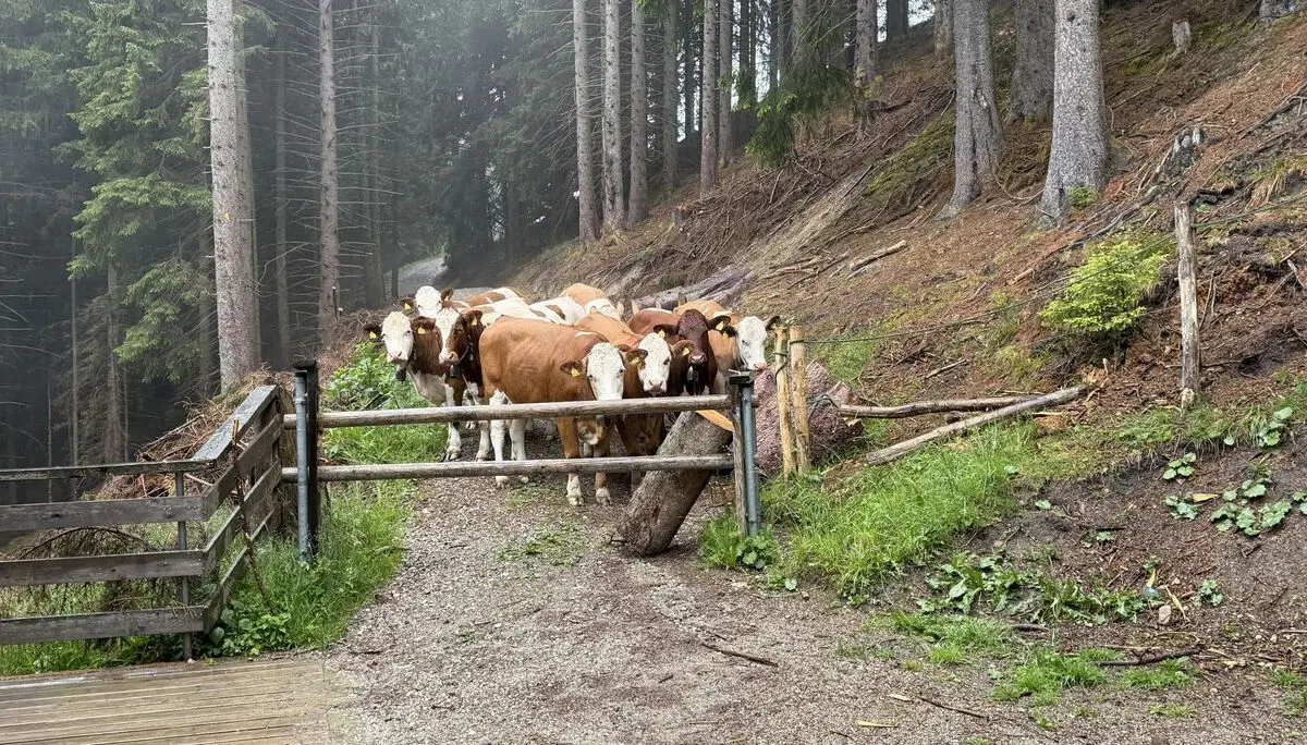 © DAV Peißenberg