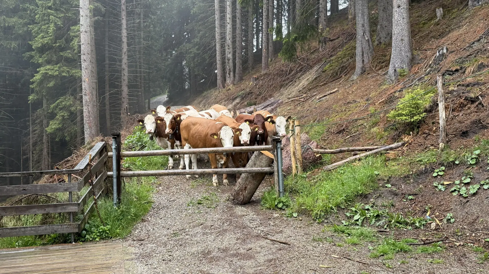 © DAV Peißenberg