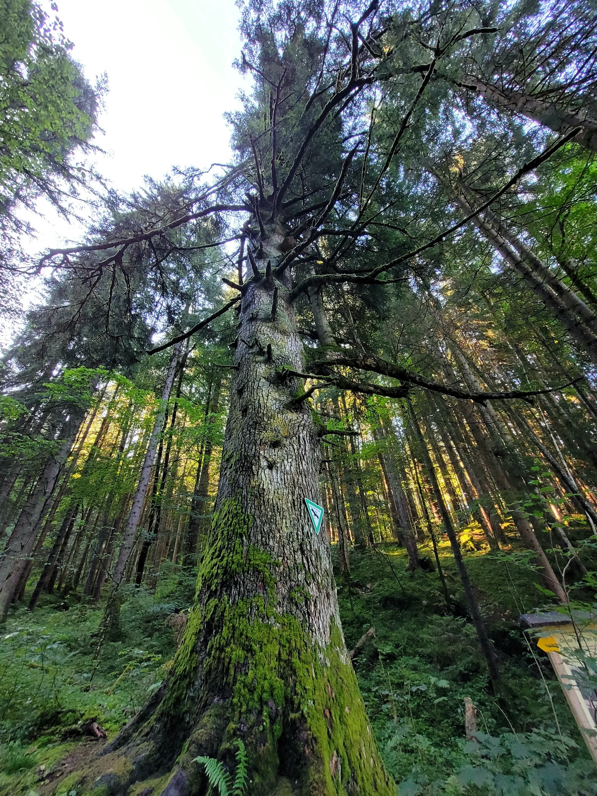 © DAV Peißenberg