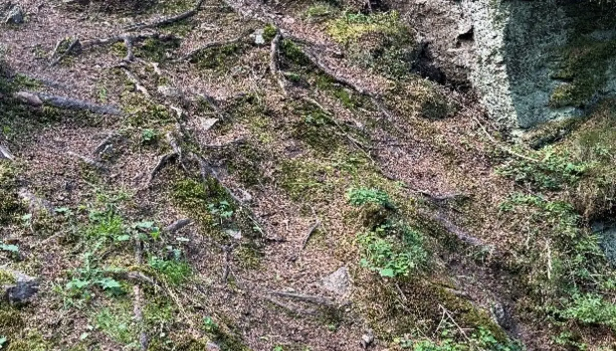 © DAV-Peißenberg