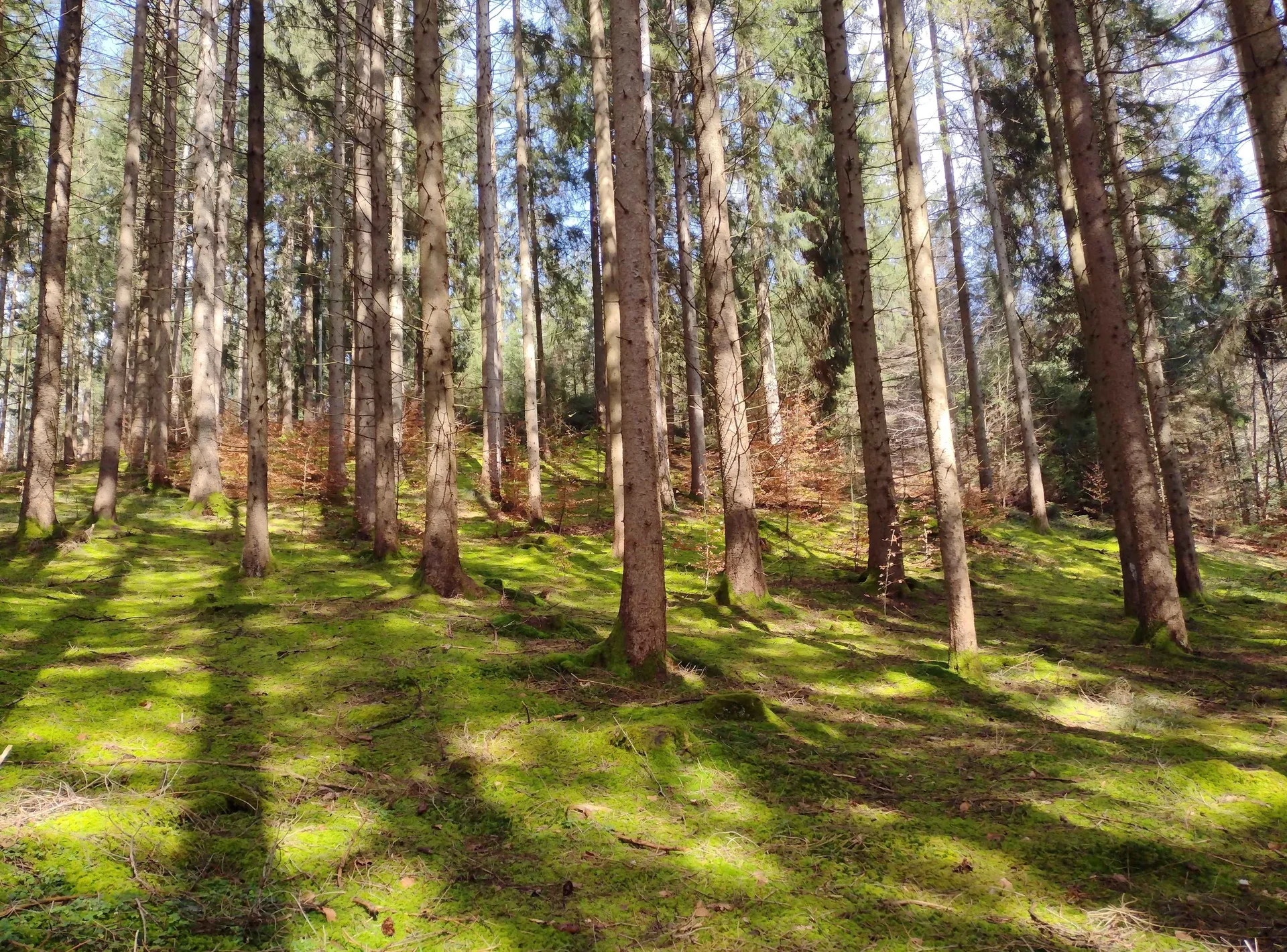 © DAV-Peißenberg