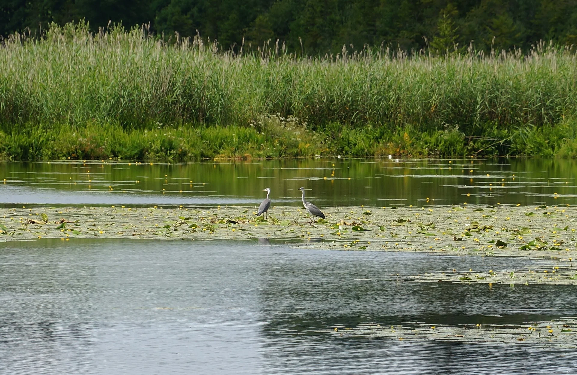 © DAV Peißenberg